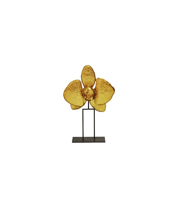 Gold Leaf Orchid, 12"